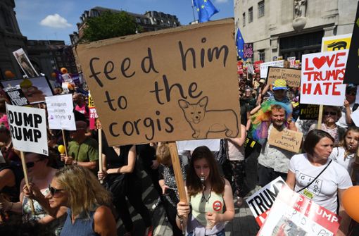 Zahlreiche Menschen in London haben gegen Donald Trump protestiert. Foto: Getty Images Europe