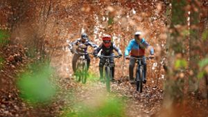 Mountainbike-Trails auf Erfolgskurs