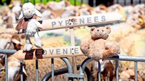 Humorvoller Protest von französischen Schafzüchtern: Schafe gehören in die Pyrenäen, Bären zurück nach Slowenien Foto: AFP