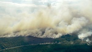 Weißer Qualm zieht über die weiten schwedischen Wälder. Es brennt, verstreut im ganzen Land – und die Feuer breiten sich in der ungewöhnlichen Sommerhitze schnell weiter aus. Foto: Lehtikuva/AP