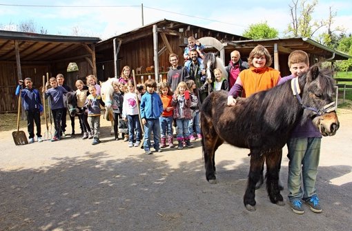 Ein Königreich für Pferde und Kinder ist die Jugendfarm in Stammheim – da sind sich alle Besucher einig.Ein Königreich für Pferde und Kinder ist die Jugendfarm  in Stammheim – da sind sich  alle Besucher einig. Foto: Chris Lederer