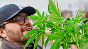 Die Legalisierung treibt Börsen-Blüten: Die Aktienkurse einiger Cannabis-Unternehmen haben sich zuletzt teils verdoppelt. Foto: imago/Benis Arapovic