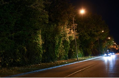 Eine Straße und die angrenzende Grünanlage im Industriegebiet Nord hinter einem Diskothekenareal in Freiburg wird nachts von Straßenlaternen erleuchtet. Foto: dpa