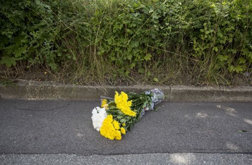 Der angeklagte 31-Jährige soll im vergangenen Jahr seinen früheren Mitbewohner auf offener Straße  mit einem Samuraischwert getötet haben. Foto: Leif Piechowski/LICHTGUT