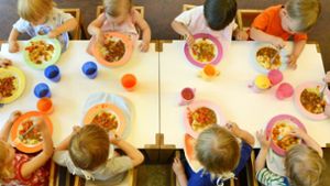 Von April 2023 an kostet das Essen an den Ludwigsburger Kitas und Schulen 3,50 Euro statt wie bisher 3,30 Euro. Foto: dpa/Waltraud Grubitzsch