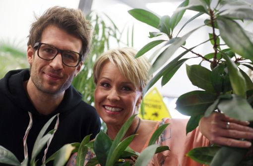 Zwei bekannte Gesichter: Sonja Zietlow und Daniel Hartwich moderieren die RTL-Show erneut. Foto: dpa
