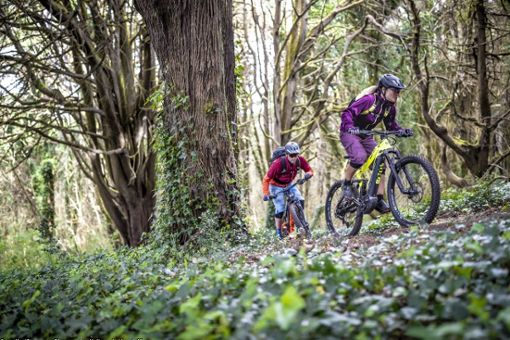 Der Tag des Waldes erinnert seit vier Jahrzehnten daran, dass wir mit der grünen Lunge - gerade auch als Radfahrende - achtsam umgehen sollen. Und das an 365 Tagen im Jahr.