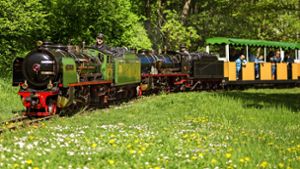 Die Tazzelwurm genannte Dampflokomotive zieht ab Montag wieder Passagiere durch den Killesbergpark. Foto: Lichtgut/Christoph Schmidt