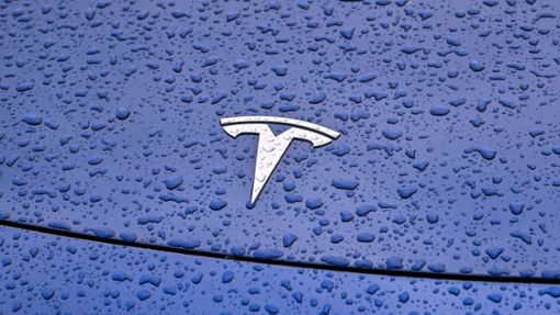 Steht Tesla im Regen? Die vergangenen Wochen waren turbulent für den Elektroauto-Vorreiter. Foto: Patrick Pleul/dpa