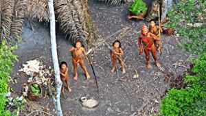 Dieses Foto zeigt fünf Mitglieder einer unkontaktierten indigenen Gruppe, die im brasilianischen Amazonas-Gebiet  von einem Flugzeug aufgenommen worden ist. Foto: dpa