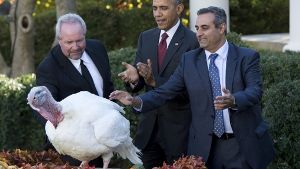 Obama bewahrt zwei Truthähne vor dem Ofen