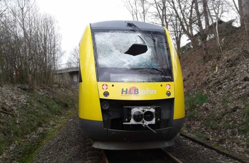 Der Zug wurde durch die Gullydeckel beschädigt. Foto: Hessische Landesbahn