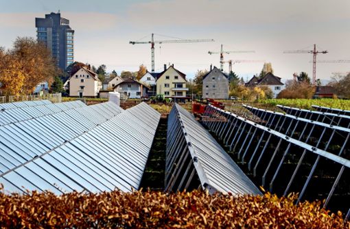 Die Solarkollektoren im Herbstlaub: Hier entsteht die größte Anlage in Deutschland. Foto: factum/Simon Granville