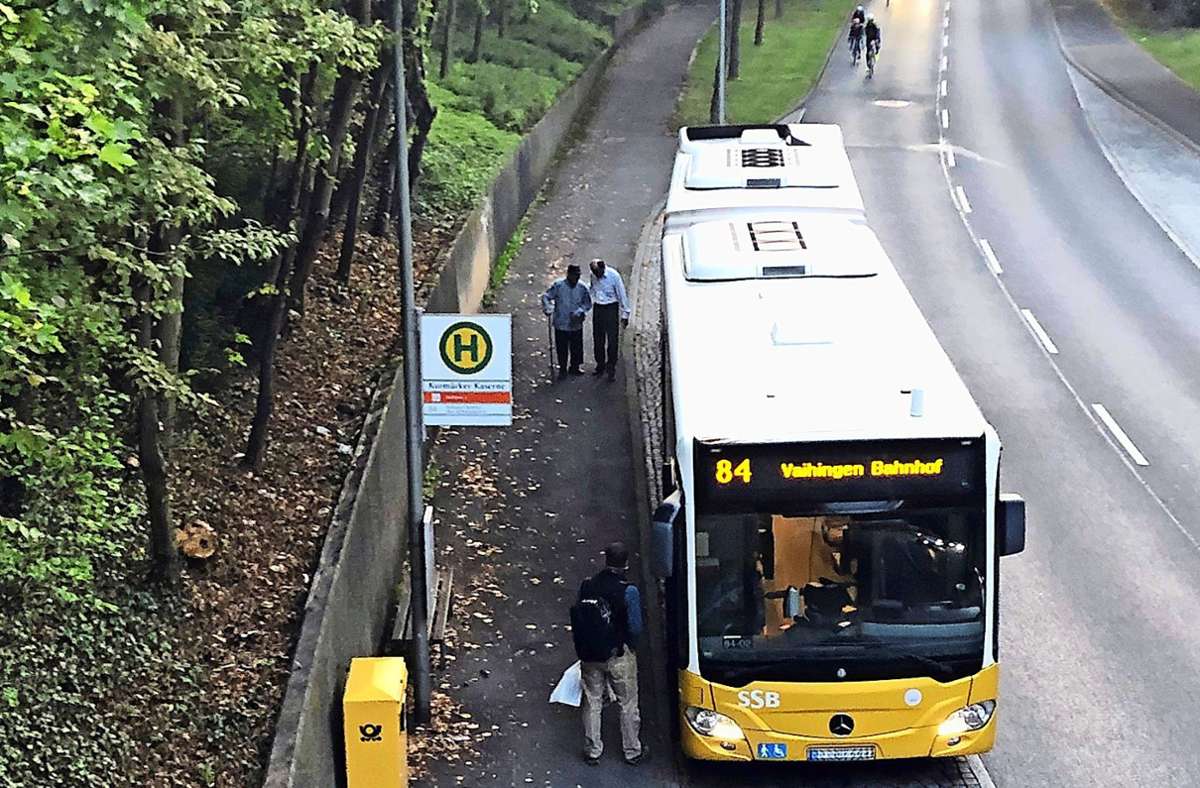 Fahrer hilft Fahrgast: ein Busstop mit Sonderservice Foto: privat/Marvin Hägele