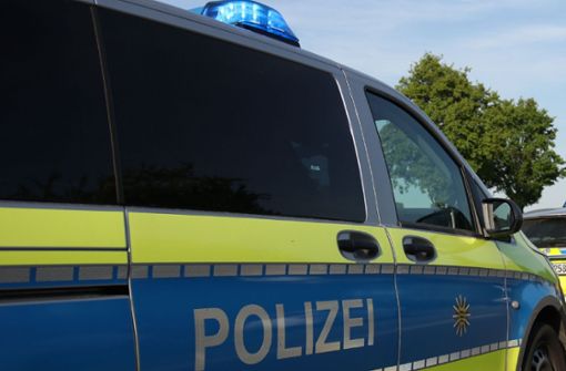 Die Schadensbilanz laut Polizei nach der Unfallfahrt des 17-Jährigen: Rund 25.000 Euro. Foto: SDMG