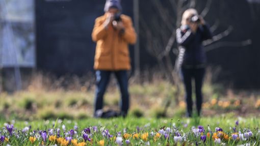Der Frühling hält Einzug in Deutschland. Foto: Oliver Berg/dpa