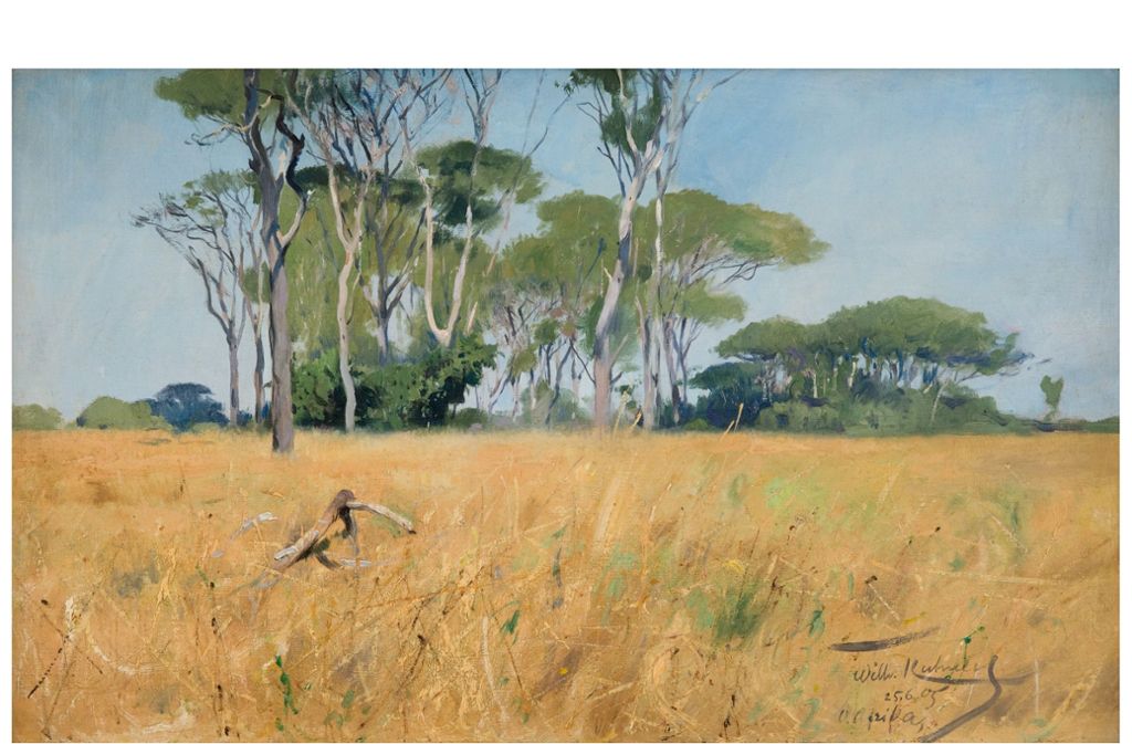Landschaft am Ruvu, 1905, Öl auf Leinwand