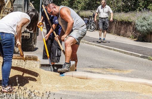 Mit vereinten Kräften wird das Getreide auf der Straße eingesammelt. Foto: SDMG/SDMG / Dettenmeyer