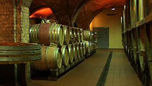 Die Weinmanufaktur Untertürkheim