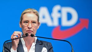 Die Parteivorsitzende der AfD, Alice Weidel Foto: dpa/Bernd Weißbrod