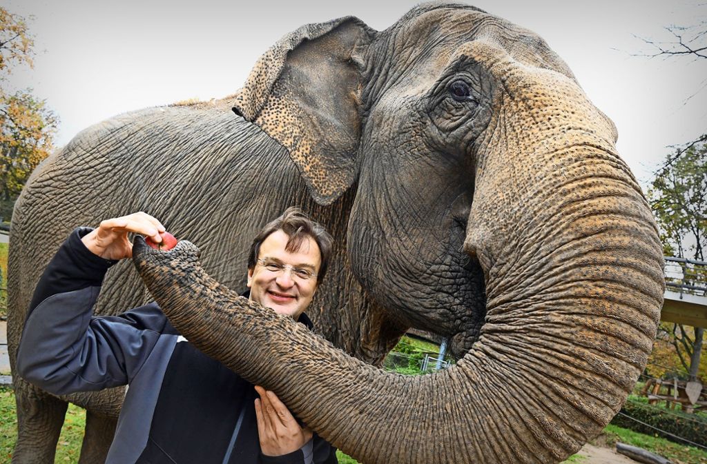 Der Karlsruher Zoodirektor Matthias Reinschmidt mit der Elefantenseniorin  Jenny Foto: dpa