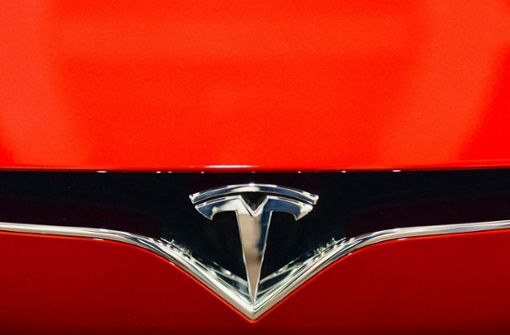 Das Bundesamt fordert die Umweltprämie, die Kunden für einen Tesla S gezahlt haben, zurück. Foto: dpa-Zentralbild