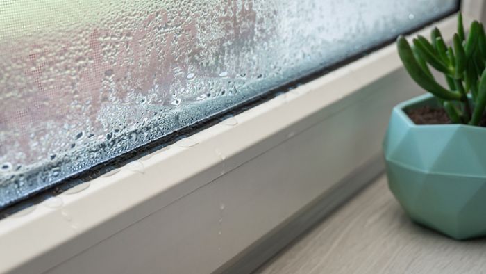 Nasse Fenster trotz Lüften und Heizen? – 5 Ursachen