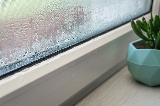 Erfahren Sie, was es für Gründe haben kann, wenn Ihre Fenster trotz Heizen und Lüften nass sind. Jetzt weiterlesen!