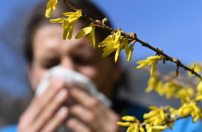 Heuschnupfen & Co.: So sinnvoll sind rezeptfreie Medikamente bei Allergien