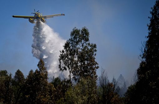 Portugal hat mit Waldbränden zu kämpfen – hier ein Löschflugzeug vor wenigen Tagen Foto: AFP/PATRICIA DE MELO MOREIRA