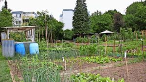 Es bleibt dabei: Gärten müssen weichen