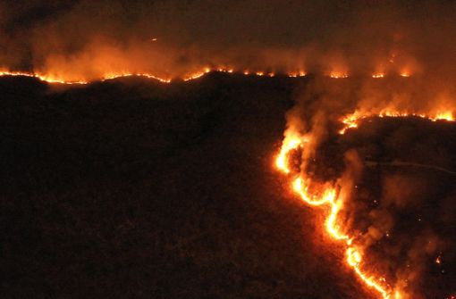 Etliche Waldbrände wüten am Amazonas. Foto: dpa