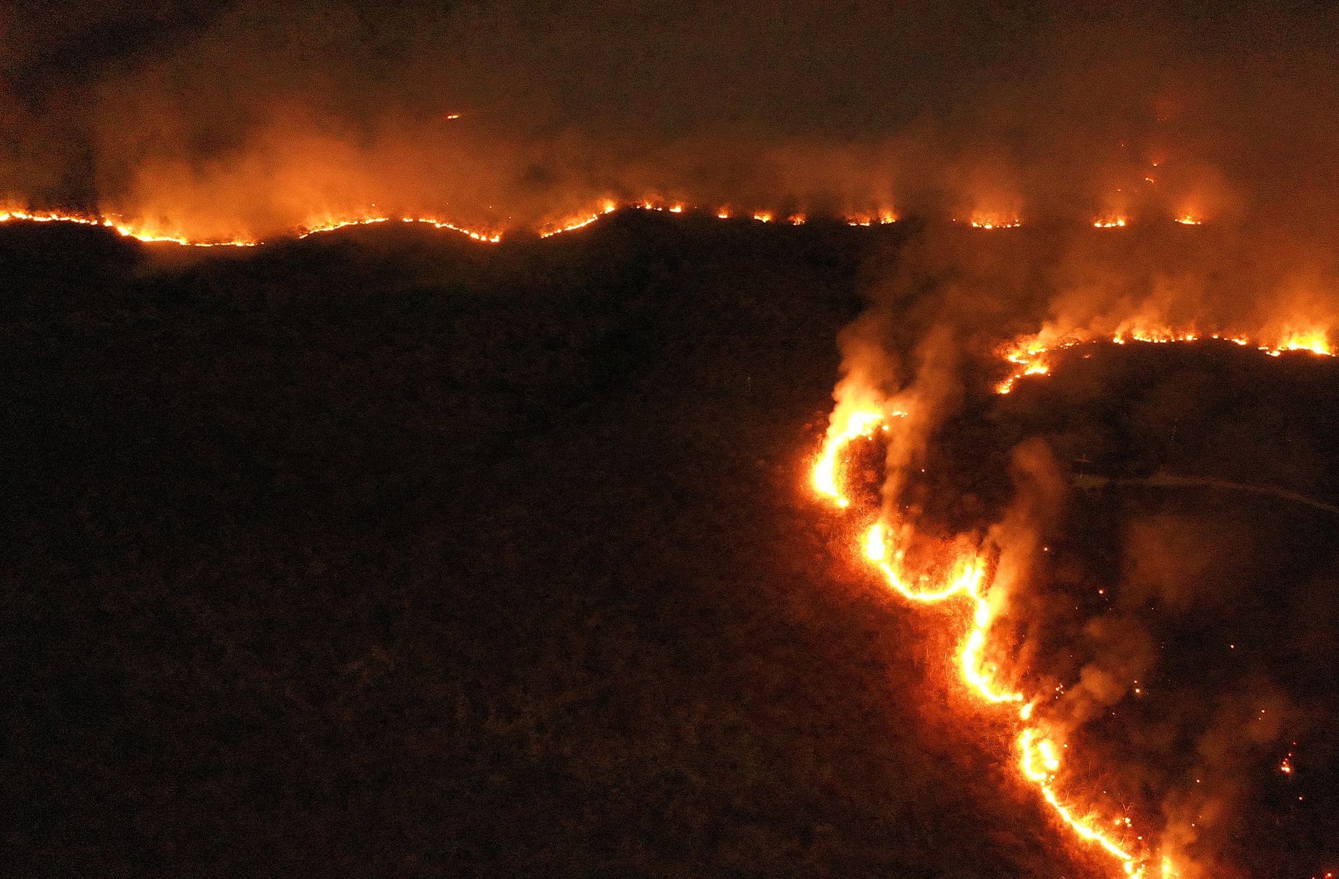 Waldbrände am Amazonas: Hunderte neue Feuer in Brasilien - Panorama