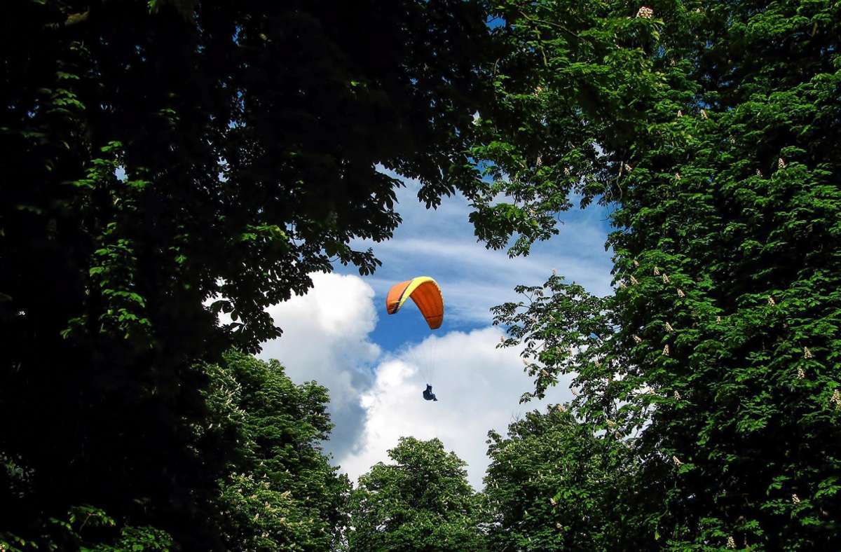 Die Bergwacht musste den Flieger aus den Bäumen befreien (Symbolbild). Foto: Pixabay/EliasSch