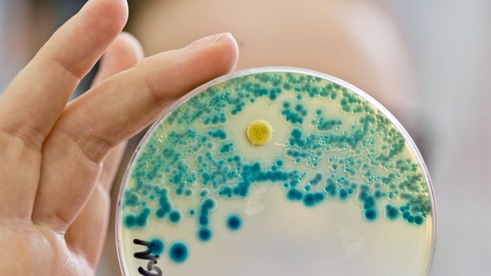 Resistente Bakterien auf dem Vormarsch