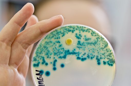 Eine Kultur mit gegen Antibiotika resistenten Keimen. Foto: dpa
