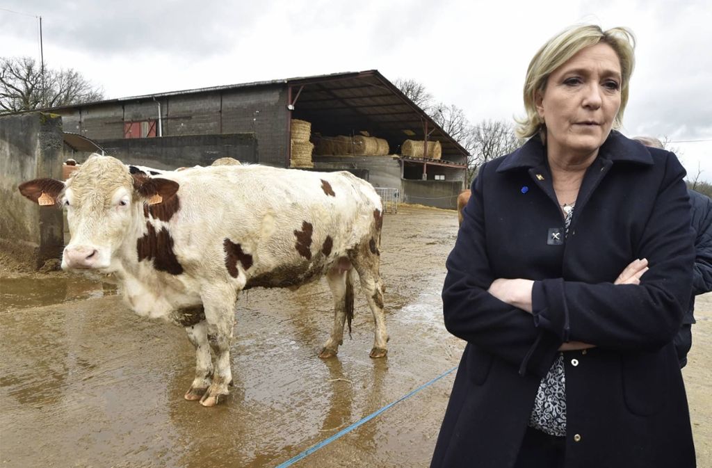 Auf der Suche nach Wegen aus den Umfragetiefs hat die Front-National-Chefin Marine Le Pen noch keine rechte Antwort gefunden. Foto: Pool afp/AP