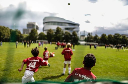 Kein Kick in diesem Jahr: Der Württembergische Fußball-Verband (WFV) hat das traditionsreiche Höfleswetzturnier abgesagt. Foto: /Leif Piechowski