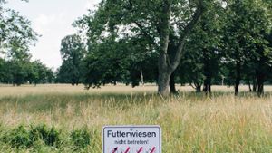 Große Wiesenflächen in den Stuttgarter Parkanlagen dürfen nicht betreten werden, weil die Wilhelma hier Futter schneidet. Foto: Lichtgut/Verena Ecker