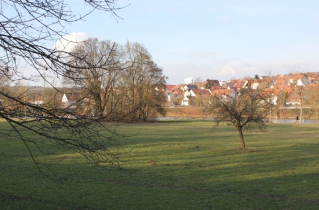 Die Bürgerinitiative Naturpark Ost fordert, dass sich Wohnen und Grün  die Waage halten – ähnlich wie hier in Neckarnähe. Foto: Pascal Thiel