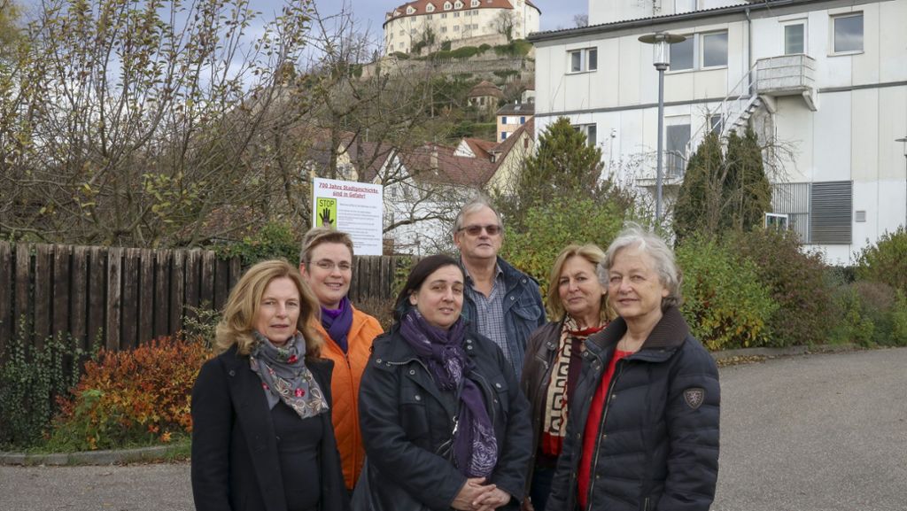 Debatte um Nutzung der Köpfwiesen in Vaihingen/Enz: Bürgerentscheid kommt