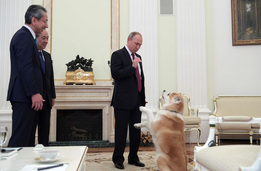 Und Wladimir Putin, der Hundedresseur. Nichts, was der Mann anscheinend nicht kann.