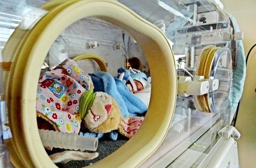 Willi, ihr Glückshase, liegt mit im Inkubator.  Bei der  Geburt wog  Maja  460 Gramm, inzwischen hat sie  die 1000-Gramm-Marke geknackt. Foto: Uniklinik Tübingen