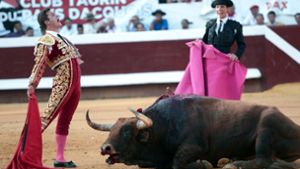 Der Matador Luque und seine rosa Strümpfe