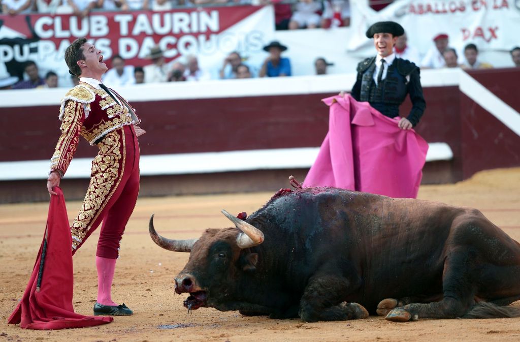 Der Stierkämpfer Daniel Luque in fragwürdiger Siegerpose. Foto: AFP
