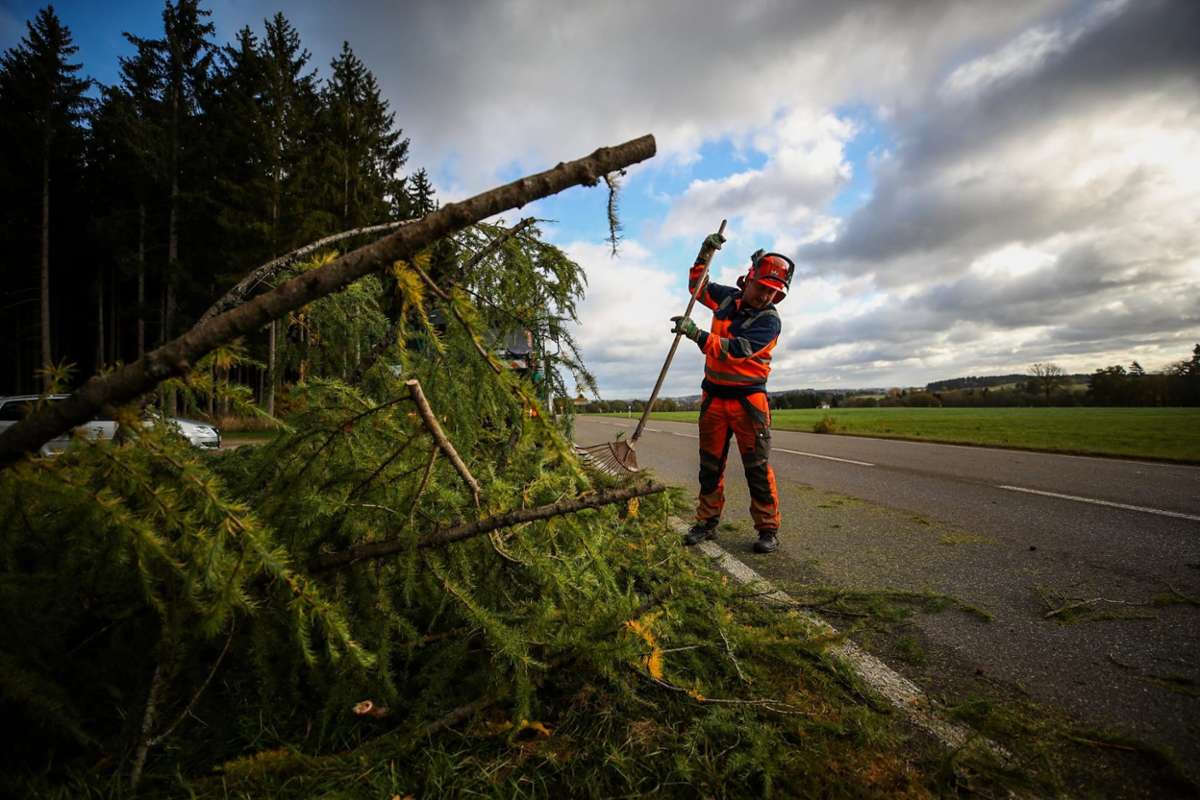 In VS-Pfaffenweiler stürzte ein Baum auf die Landstraße.