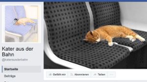 Der reisende Kater aus Herrenberg hat eine eigene Facebook-Fanseite bekommen. Foto: Screenshot @katerausderbahn