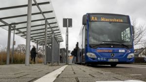 Firma betreibt ab 2024 Buslinien