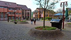 Die Ortsmitte soll vom Vaihinger Markt (Bild) über den Stadtpark  bis zum Bahnhofsvorplatz  aufgewertet werden. Foto: Archiv Rebecca Beiter