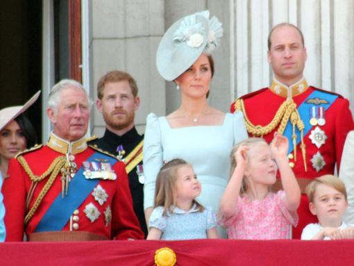 König Charles, Prinz Harry, Prinz William: Prinzessin Kate kann auf die Unterstützung ihrer Familie setzen. Foto: Lorna Roberts/Shutterstock.com